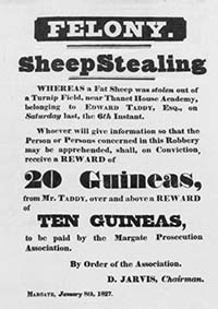 sheep stealing at Margate poster | Margate History